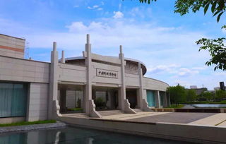 千人研學團走進阿膠世界 于旅途中探尋中醫藥文化的博大精深